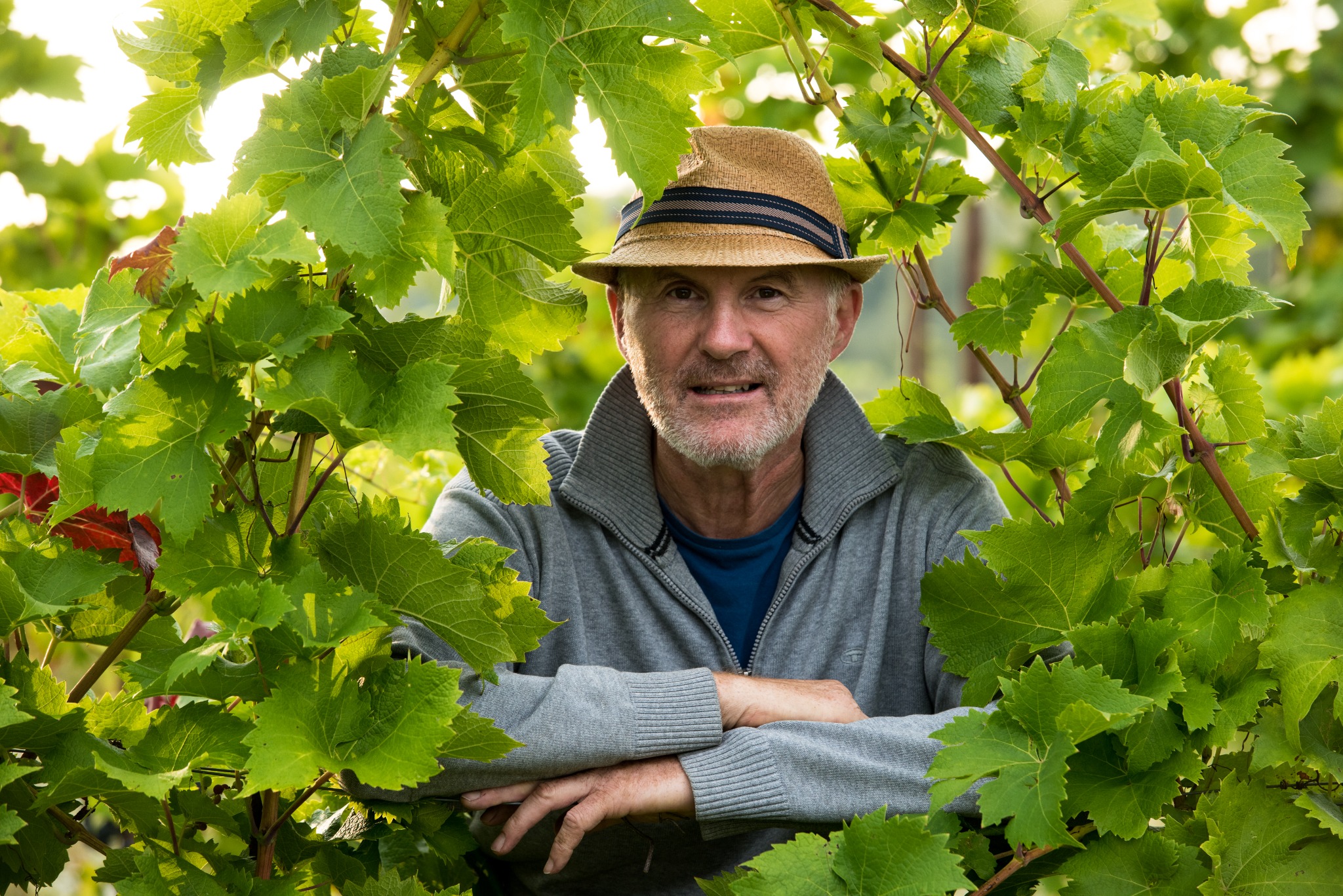W² – BIO Weinbau Waltl